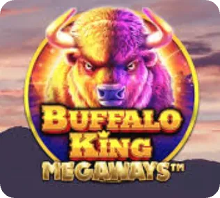Buffalo King MW