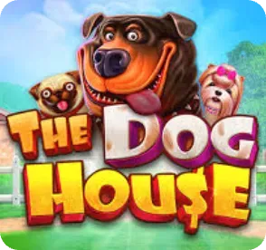 The Dog House